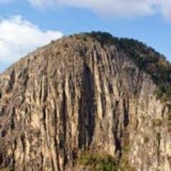 4381_comite_'s profile picture. 