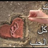 عاشق صنعاء (@dfdf690) 's Twitter Profile Photo