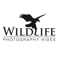 Tom Robinson(@wildlifehides) 's Twitter Profileg