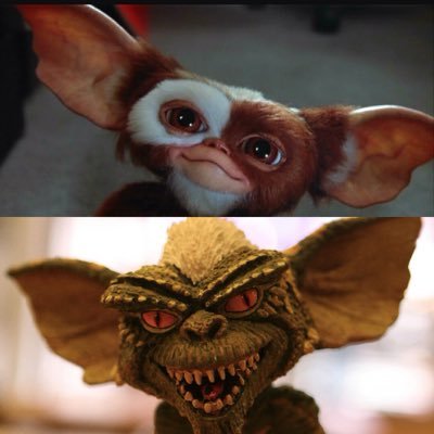 fee3103's profile picture. 