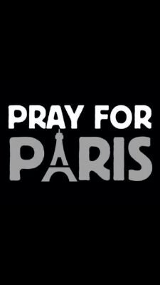 redbull85191's profile picture. fernando  alonso