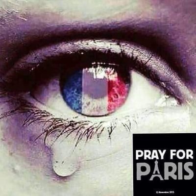 BOUCHETCedric's profile picture. 