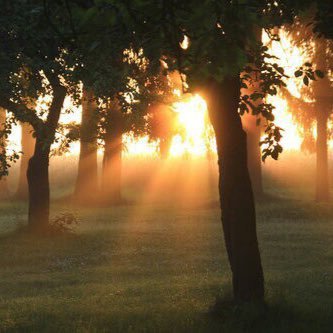 saskiakeller's profile picture. 