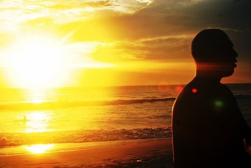 OVNIBB's profile picture. 