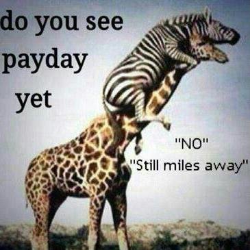 japhet_moyo's profile picture. 