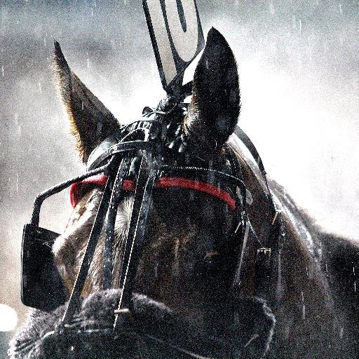 Track Photographer at The New Meadowlands Racetrack.  Call 201-460-4071 to order photos.  LisaPhoto@playmeadowlands.com  https://t.co/ygMd1asLpR