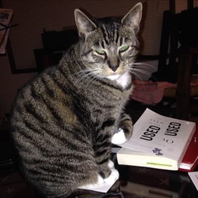 cougfan1023's profile picture. 