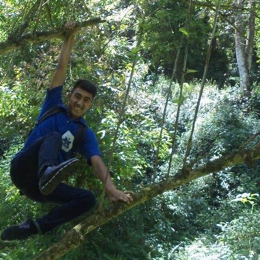 DJsgn3's profile picture. 