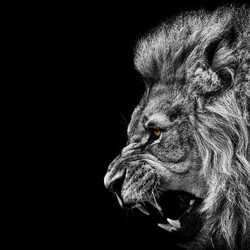 motasemhussein1's profile picture. 