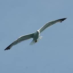 MolinariGreta's profile picture. 