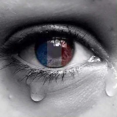 frederic_boer's profile picture. 