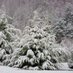 New York Parks (@newyorkparks) Twitter profile photo
