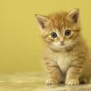 Maria Ubeda Cubedo - @MaryUbedaCubedo - Twitter