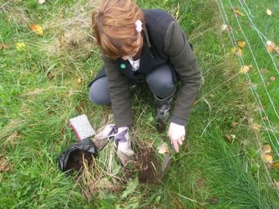 MVerreck's profile picture. Geography Teacher, sustainability lead, no plastic fanatic and global learning advocate #globalgoals #noplastic #stopclimatechange