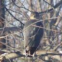 Randy Sanders - @RSFish1 - Twitter