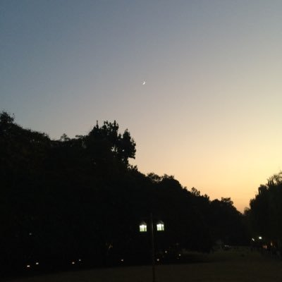 jampython's profile picture. 