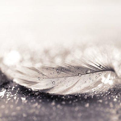 NoHppayNew's profile picture. 