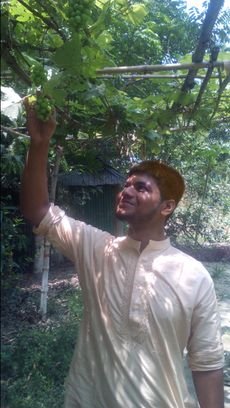 mdtauhid078's profile picture. 