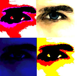 willevolve's profile picture. : Games, Social Media. Life.