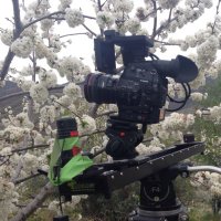 Arantxa Aguirre (@arantxa_aguirre) 's Twitter Profile Photo