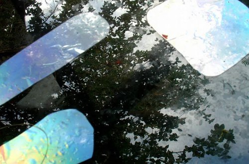 ampslina's profile picture. 