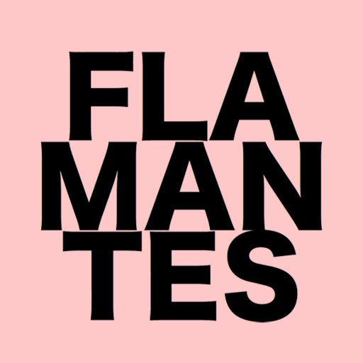 PARA #ARTISTAS JÓVENES MENORES DE 30 #ARTEJOVEN  #FLAMANTES @HAGO_COSAS #Arte #Fotografía #collage#diseño #ilustracion #flamantes