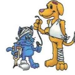 Safeaidtraining's profile picture. Scotland's Premier HSE Approved First Aid Company