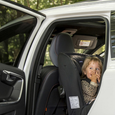 Gaining global insights in children car safety, rear facing children car seats and in the company Axonkids AB.