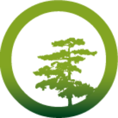 A family business with over 25 years commercial and domestic experience in tree surgery, landscaping and fencing. Call Ed to discuss your project - 07885 994449