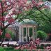 UNC Med-Peds Program (@unc_med_peds) Twitter profile photo UNC Med-Peds Program (@unc_med_peds) Twitter profile photo