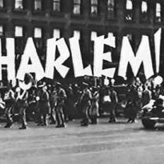 harlemsho's profile picture. 