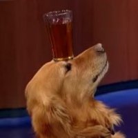 UK Beer Jobs (@workinbeer) 's Twitter Profile