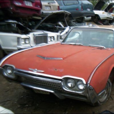 junkyarddiaries's profile picture. 