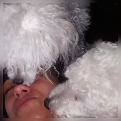 soyvina's profile picture. Analista Business Intelligence  
// Un poquito loca, atolondrada, divertida, explosiva, trágica, ciclotímica...