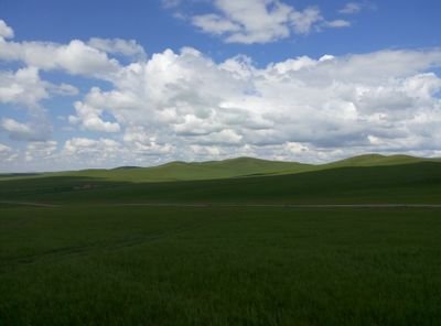 hiweidan's profile picture. 