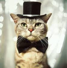 Eventful Lady 👩🏼💻🏃🏼♀️🙇🏼♀️💃🏼🕴🏼🐱
Remember: If you get mad, you've lost stay curious 💫☘️