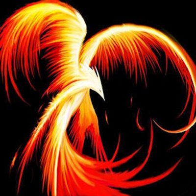 Fire Raven