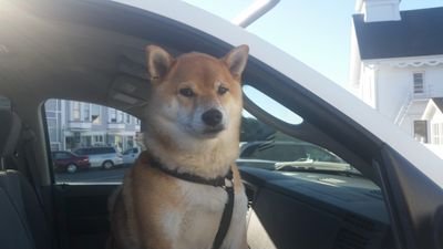 rooferville's profile picture. 