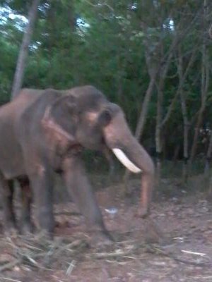 kannanm10874755's profile picture. 