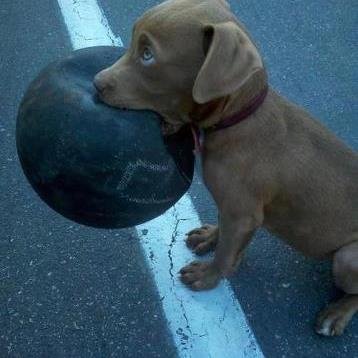 3Putt2Much's profile picture. 