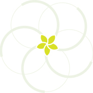 Create_Culture's profile picture. Connects you with artists in New York and around the world to experience local culture behind-the-scenes.