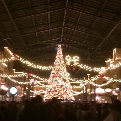 d_d49933919's profile picture. 