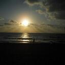 barbara wiesner - @ladyparadeis - Twitter