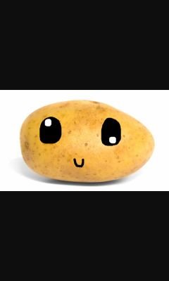 The loneliest potato in the barren field in which no features grow.