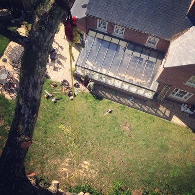 Longfield Tree&Hedge Care has extensive experience of tree care. For details on the services we offer visit https://t.co/zUETapAY5g