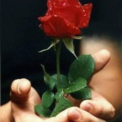 sandi125587's profile picture. Sakali bogoh tetep bogoh,sanajan saingan jeung si si asep behoh..