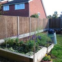 gardener wrights (@rickywright19) 's Twitter Profile