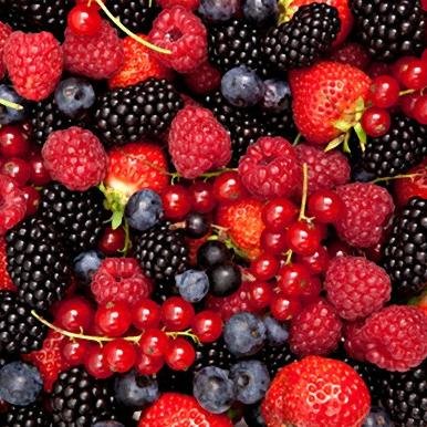 ttttttill's profile picture. アヘン中毒のオウム