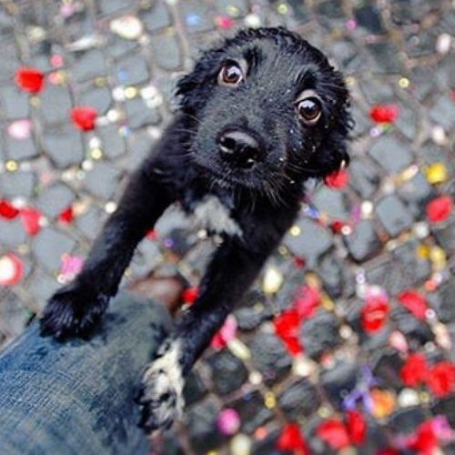 j_thiriat's profile picture. 