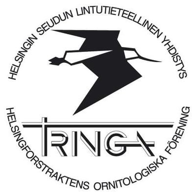 Tringa_ry Profile Picture